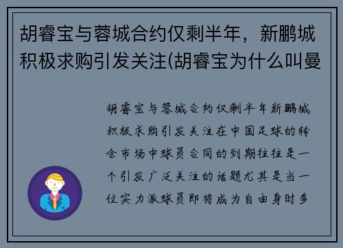 胡睿宝与蓉城合约仅剩半年，新鹏城积极求购引发关注(胡睿宝为什么叫曼城名宿)