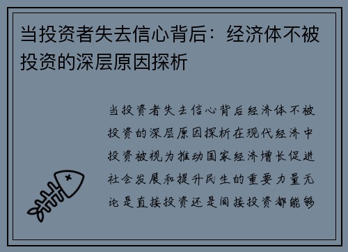 当投资者失去信心背后：经济体不被投资的深层原因探析